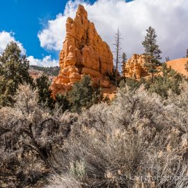 Bryce Canyon/ Red Rock Canyon